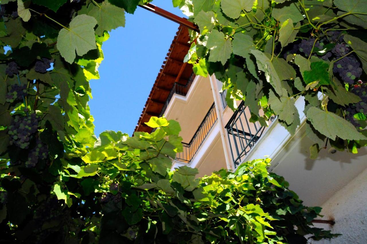 Boutique Hotel Parnassia Arachova Buitenkant foto